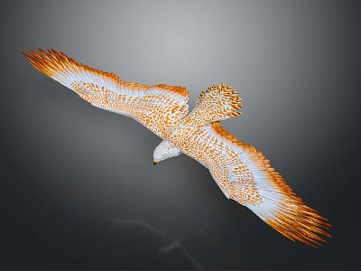 Flying Eagle With Orange And White Feathers Spread Wings In Flight 3d model