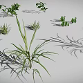 Various Green Plants Including Grass Shrubs and Leafy Sprouts Arranged on Gray Background