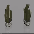 Cactus Bonsai Plants in Black and White Patterned Pots on Shiny Surface with Reflections
