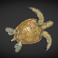 sea turtle turtle sea animals 3d model