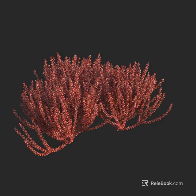 Vibrant Red Shrub with Dense Foliage on Black Background 3d model 
