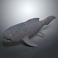 Gray 3D Fish Model With Yellow Eyes Open Mouth And Rough Textured Skin