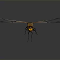 Detailed Dragonfly With Transparent Wings And Yellow Black Body In Flight