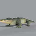 Realistic Crocodile Reptile Model With Green Scales Open Mouth And Gray Background