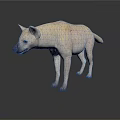 Light Colored Hyena Standing In Natural Posture On White Background