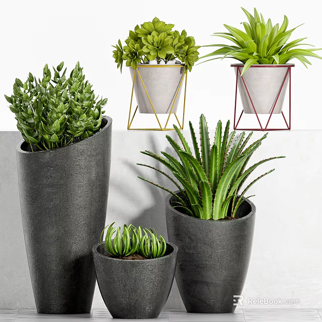 Decorative Bonsai Potted Plants with Modern Black Yellow Red Stands and Green Foliage 3d model 