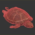 Turtle Turtle Cartoon Turtle Snapping Turtle Chickbill Turtle Reptile Cold Blooded Animal Reptile Reptile Class 3d model