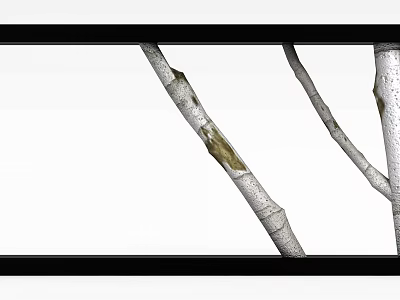 Decorative Black Photo Frame Featuring Natural Tree Branch Design for Home Wall Decoration 3d model