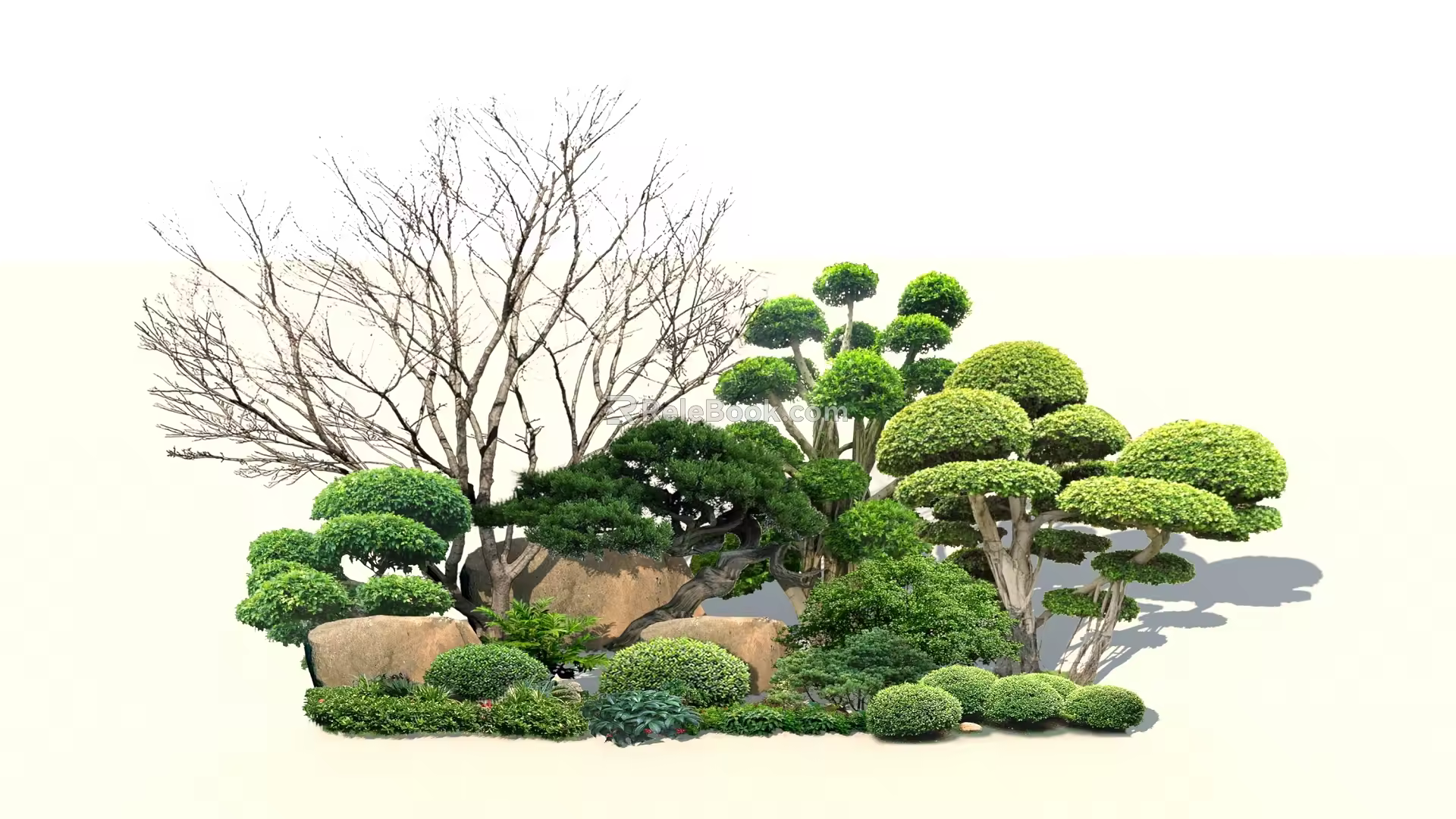Modern shrubs 3d model