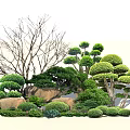 Modern shrubs 3d model