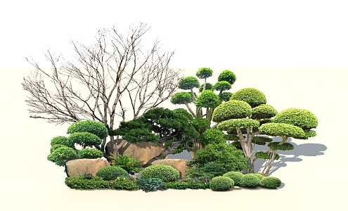 Modern shrubs 3d model