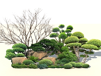 Modern shrubs 3d model