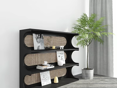 Black Modern Storage Shelf With Rattan Design And Decorative Items Near Potted Plant 3d model