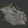 Realistic Garden Landscape Featuring Rocky Terrain Natural Vegetation and Detailed Texture Model