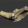 Detailed Joint Anatomical Medical Device Model With Bones Ligaments And Soft Tissues
