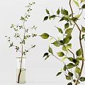 Fresh Green Foliage Arranged in Transparent and White Vases on White Shelf Decor