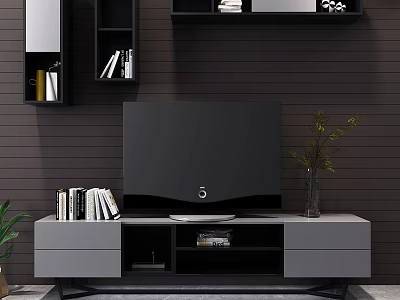 Modern TV Stand With TV Books On Shelves And Decorative Plant 3d model