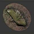 Natural Stone With Green Moss And Wood Chips On Brown Soil Surface