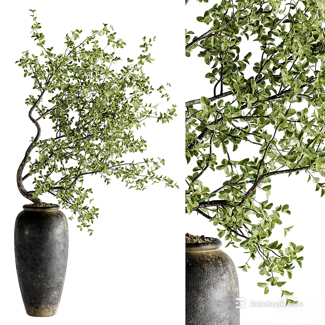 Black Ceramic Vase With Curved Branches And Lush Green Leaves For Decorative Indoor 3d model 