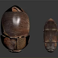 Two Dark Brown Glossy Beetles With Textured Exoskeleton Isolated On Dark Background 3d model
