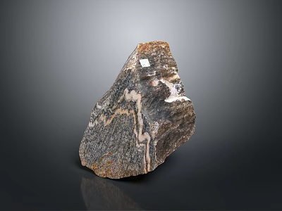 Natural Decorative Stone With Unique Texture And Brown Gray Color Patterns 3d model