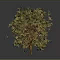 Lush Decorative Tree With Golden Leaves And Vibrant Yellow Foliage For Indoor Decoration