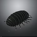 Shiny Dark Blue Pill Bug With Segmented Body Multiple Legs On Reflective Gradient Background 3d model