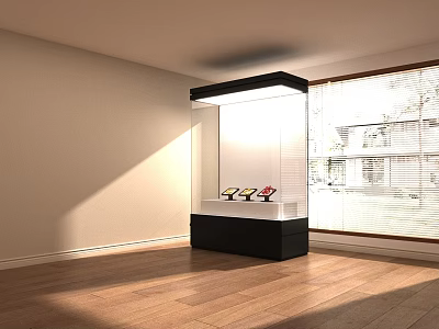 Modern Display Cabinet With Glass Door And Small Items In Bright Room With Wooden Floor 3d model