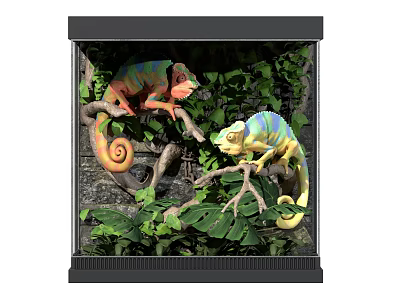 Two Colorful Chameleons In Natural Terrarium With Green Leaves And Branches 3d model