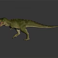 Green Striped Tyrannosaurus Rex With Open Mouth Sharp Teeth Standing On Black Background With Reflection