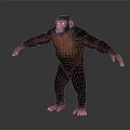 Standing Chimpanzee With Outstretched Arms And Muscular Build In Detailed 3D Rendering