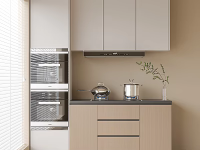 Modern Kitchen White Upper Light Wood Lower Cabinets Black Countertop Silver Pots Green Plant 3d model