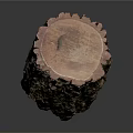 Rustic Natural Wooden Stump Featuring Rough Bark Texture And Cross Section Red Brown Green Hues