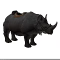 Rhino With Brown Leather Saddle And Bridle Standing On White Background