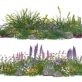 Vibrant Floral Plants with Yellow Purple Pink White Flowers and Green Grasses by Rocks