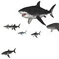 Various Aquatic Shark Species Swimming Together in Underwater Marine Scene