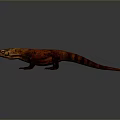 Lizard Anime Lizard Cartoon Lizard Reptile Cold Blooded Animal Reptile 3d model