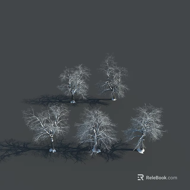 Winter Snow Covered Deciduous Trees with Shadow Projections on Dark Background 3d model