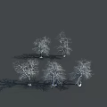 Winter Snow Covered Deciduous Trees with Shadow Projections on Dark Background 3d model
