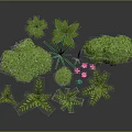 Various Green Plants With Different Leaf Shapes And Small Pink Flowers 3d model