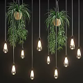 Modern Interior Decoration With Hanging Glass Bulb Pendant Lights And Green Plants