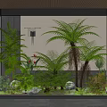 Indoor Greenery Display With Ferns Palm Plants Stone And Lighted Spheres In Glass Case