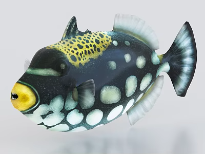 Striking Tropical Marine Fish With Black Body White Spots Yellow Spotted Head And White Fins 3d model