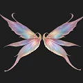 Delicate Vibrant Iridescent Fairy Wings With Colorful Gradient On Black Background
