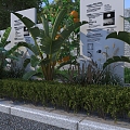 Garden landscape 3d model