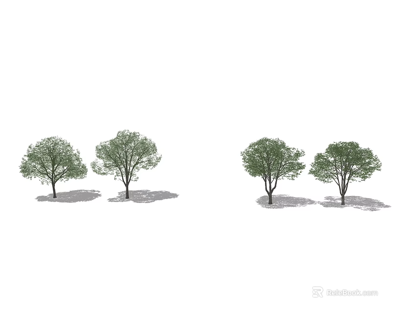 Two Green Leafy Arbor Trees With Natural Shadows In Outdoor Setting 3d model