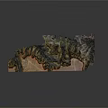 Detailed 3D Terrain Model With Mountainous Topographic Features And Elevation Details