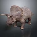 Realistic 3D Triceratops Model With Horns Frill And Detailed Skin Texture On Gray Background
