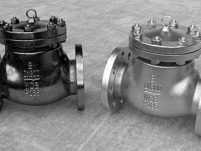 Industrial Metal Check Valves With Flanged Connections And Size Specification Markings 3d model