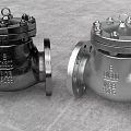 Industrial Metal Check Valves With Flanged Connections And Size Specification Markings